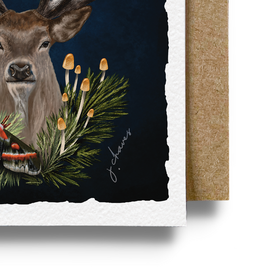 Deer Night Moth Card