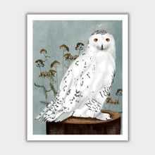  Snowy Owl Print
