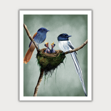  Birds Nest Print