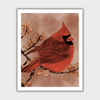 Cardinal Print