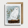 Snowy Owl Card